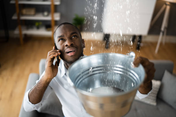Best Ceiling water damage repair  in Iona, ID